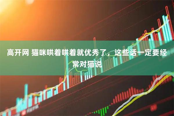 高开网 猫咪哄着哄着就优秀了，这些话一定要经常对猫说