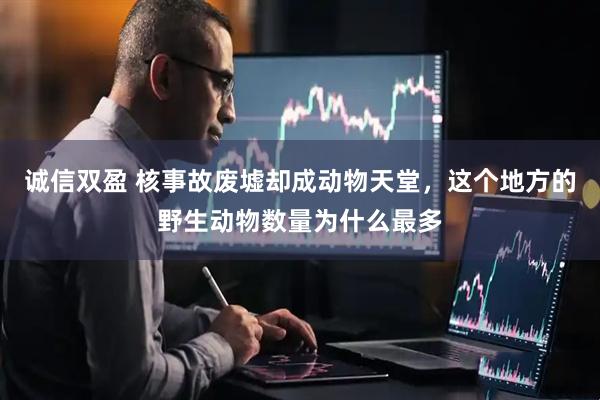 诚信双盈 核事故废墟却成动物天堂，这个地方的野生动物数量为什么最多